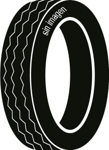 BestDrive  205/65R16C 107/105T (103T) VAN SUMMER 8PR | Taller barato