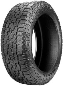 Pirelli SCORPION ALL TERRAIN PLUS 275/55R20 113T S-A/T+ wl | Taller barato