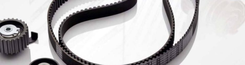 cada_cuanto_tiempo_se_cambia_la_correa_de_distribucion