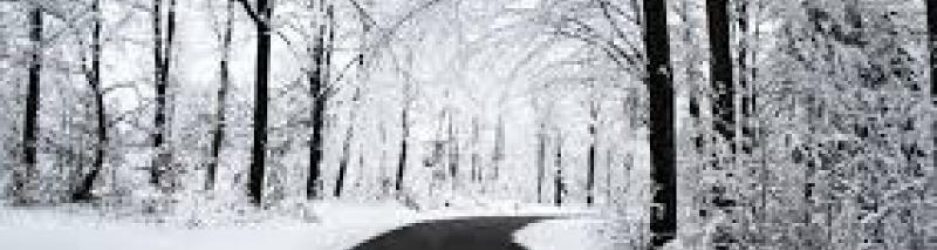 como_aumentar_la_seguridad_en_carretera