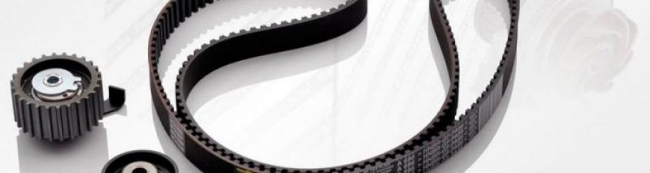 como_saber_si_tu_correa_esta_ok-1