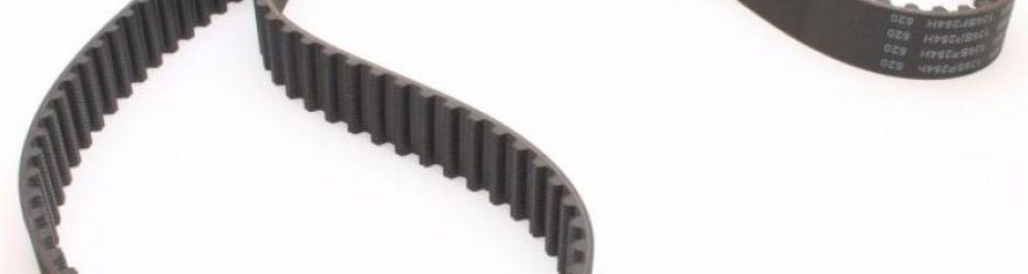 correa-distribucion-2-700x525-1